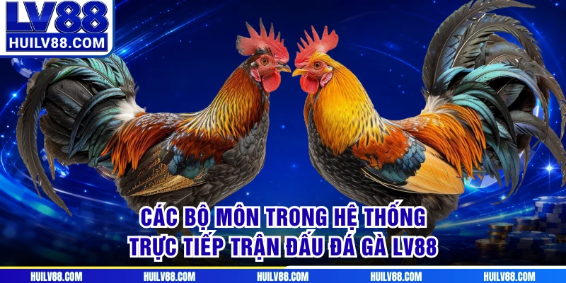 Các bộ môn trong hệ thống trực tiếp trận đấu đá gà LV88