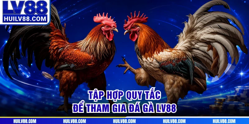 Tập hợp quy tắc để tham gia đá gà LV88